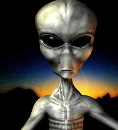 火影外星人爆料视频在线观看,揭秘忍界与外星文明的神秘联系 第2张 火影外星人爆料视频在线观看,揭秘忍界与外星文明的神秘联系 第2张