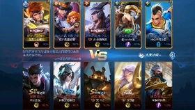 二舅王者爆料视频大全最新 第1张 二舅王者爆料视频大全最新 第1张